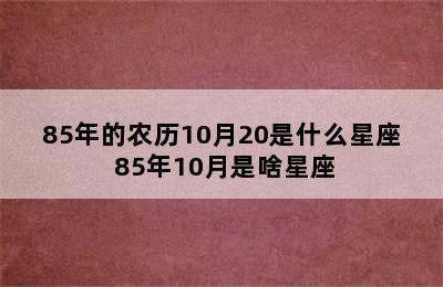 85年的农历10月20是什么星座 85年10月是啥星座